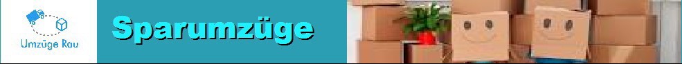 Sparumzge - sparumzug-nuernberg.de